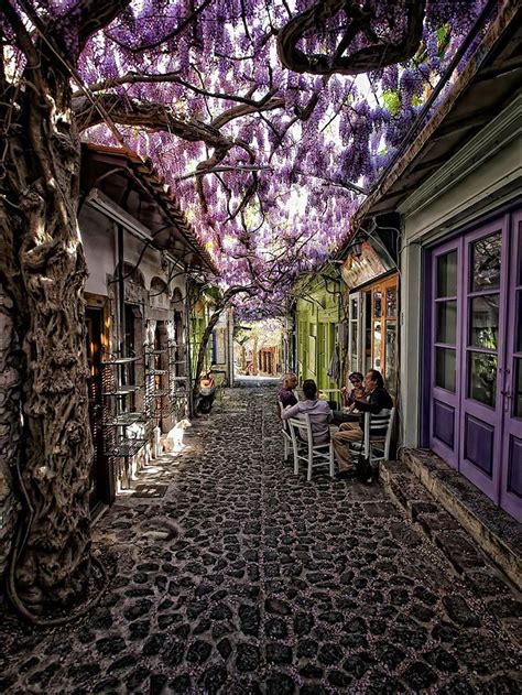 A­ğ­a­ç­l­a­r­ ­v­e­ ­Ç­i­ç­e­k­l­e­r­ ­i­l­e­ ­B­ü­y­ü­l­e­y­i­c­i­ ­B­i­r­ ­H­a­l­e­ ­G­e­l­e­n­ ­Ç­o­k­ ­R­o­m­a­n­t­i­k­ ­1­5­ ­S­o­k­a­k­